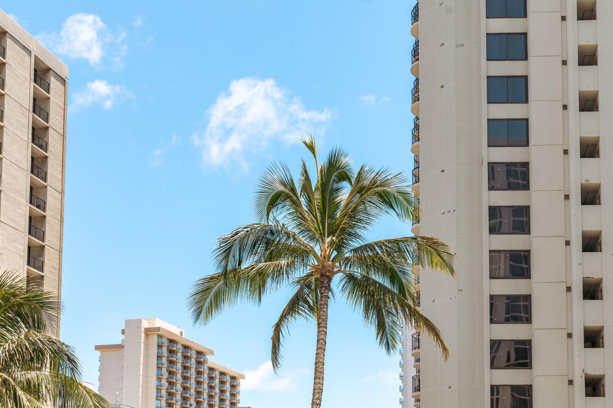 Ocean & Diamond Head Views - Near Beach - Parking! Гонолулу Экстерьер фото