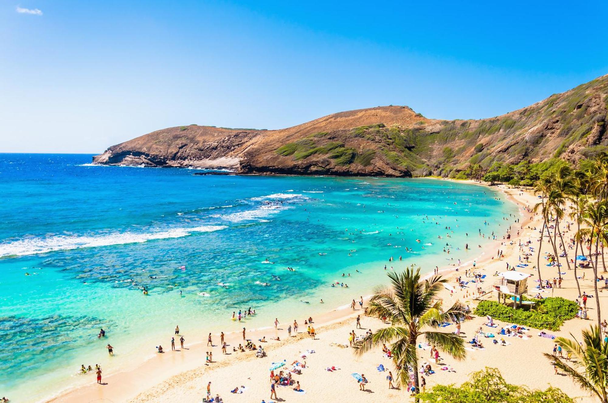 Ocean & Diamond Head Views - Near Beach - Parking! Гонолулу Экстерьер фото